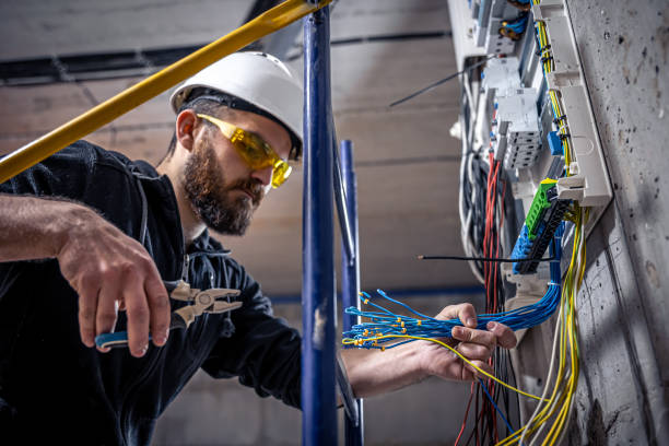 Best Electric Panel Repair  in , WI